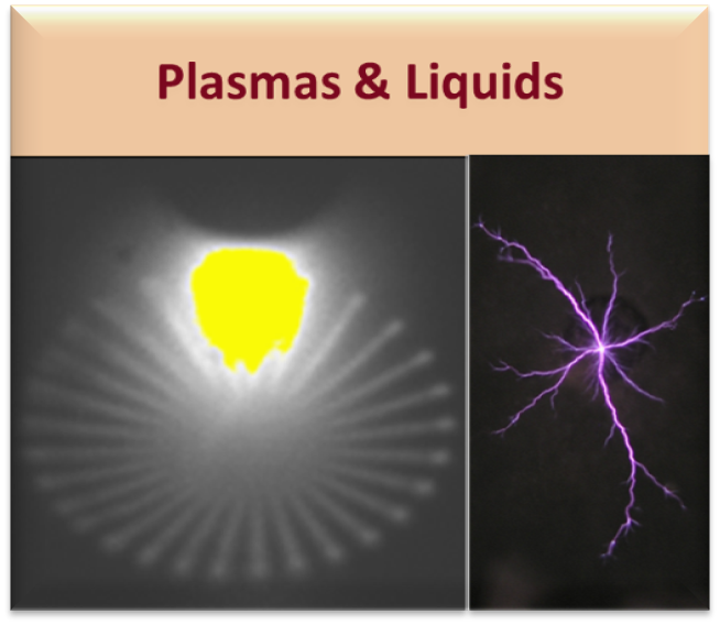 Plasmas and liquids