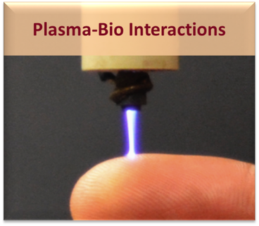 Plasma-bio interactions